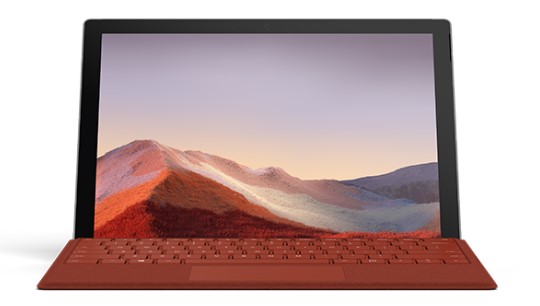 东至清洁和维护 Surface
